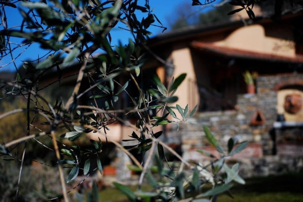 Conca Di Sopra Home Corsanico-Bargecchia Exteriör bild